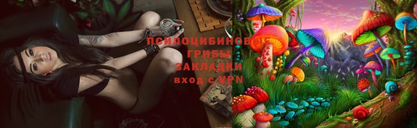 стаф Абинск