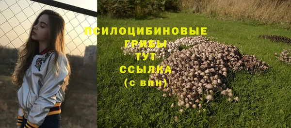 стаф Абинск