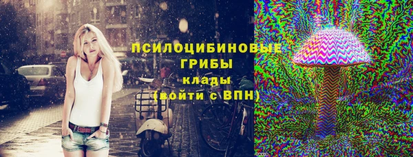 стаф Абинск