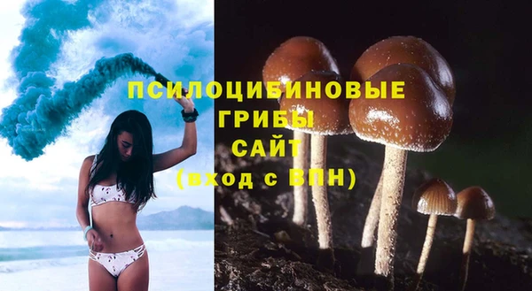jwh Абаза