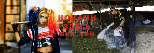 соль ск Алексеевка