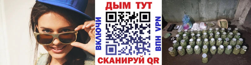 Шишки марихуана конопля  Благовещенск 