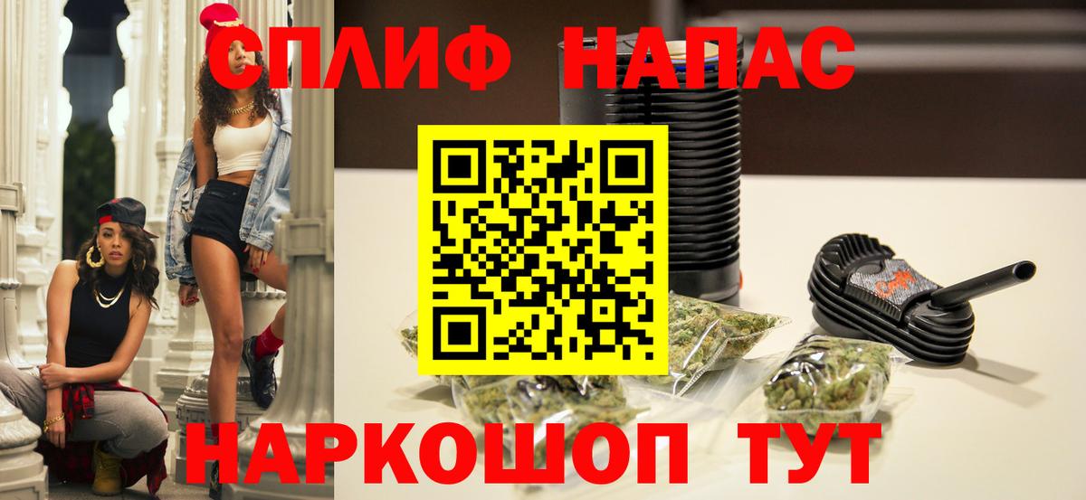 Конопля гибрид Благовещенск